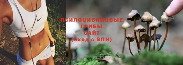 прущий лед Барнаул