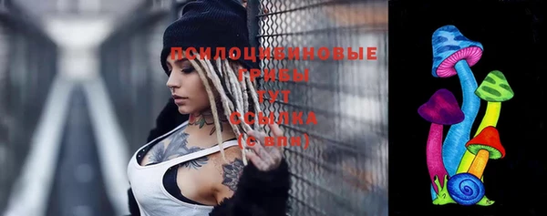 дживик Ижевск